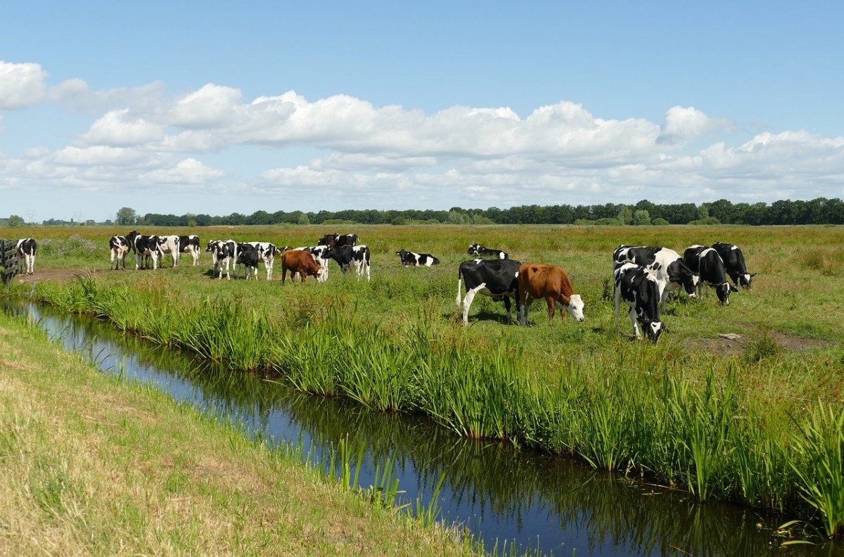 regenerative-farming-techniques-climate-change